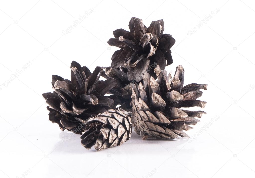 Brown Cones isolated