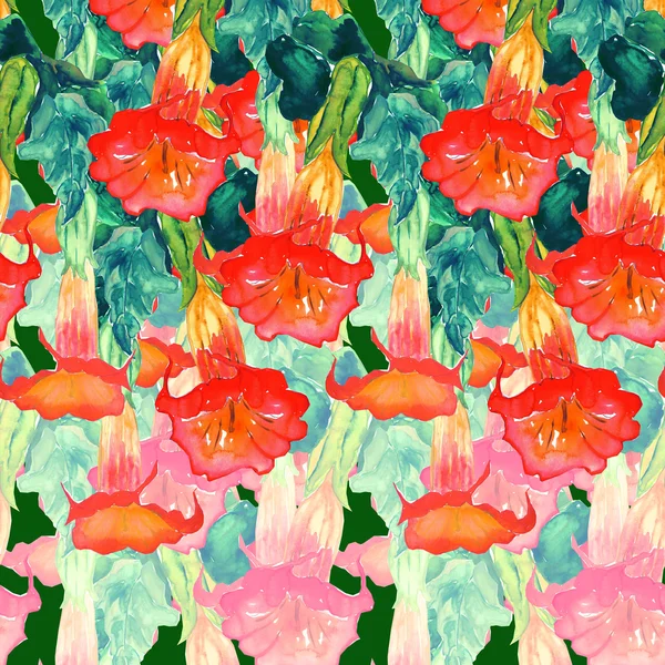 Цветы акварели Стоковое Фото