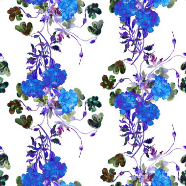 Tagetes ve cranesbill