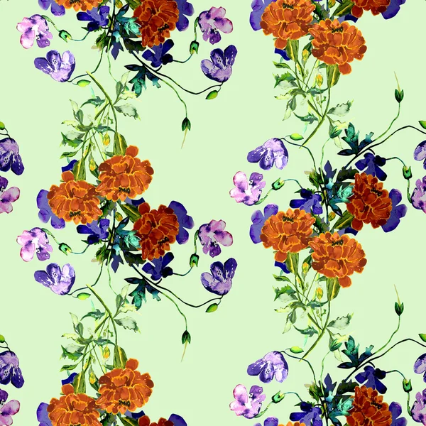 Flowers hand painted illustration — Stock Photo, Image