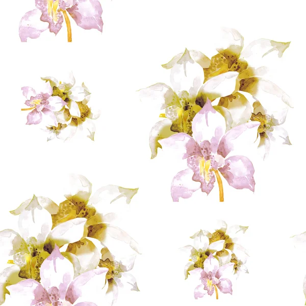 Orkidéer hand målning illustration — Stockfoto