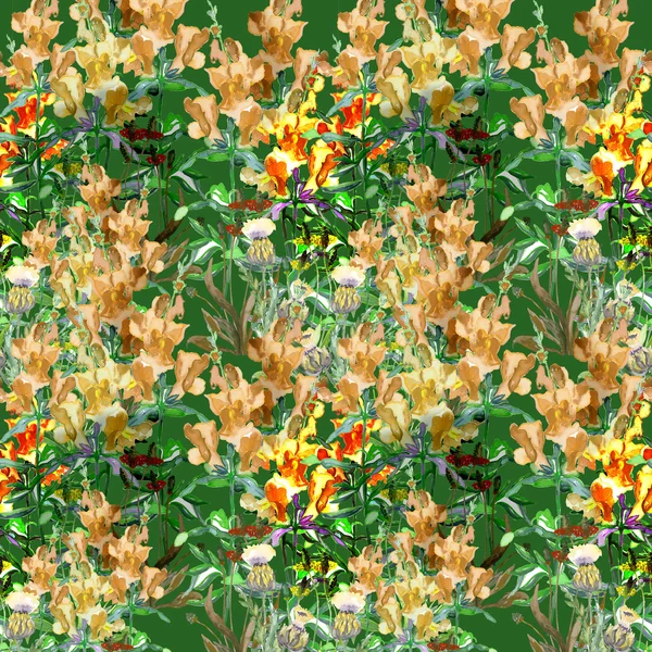 Letní květinová louka — Stock fotografie