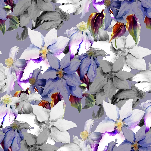 Clematis seamless pattern — Stock Photo, Image