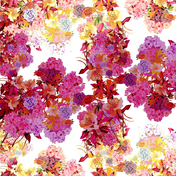 Linda flor de verão — Fotografia de Stock