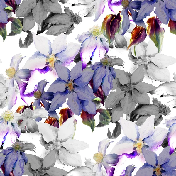 Clematis seamless pattern — Stock Photo, Image