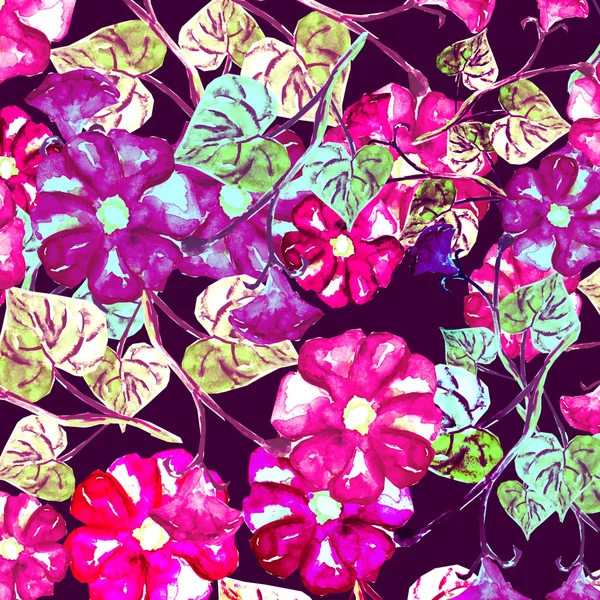 Petunia seamless pattern — Stock Photo, Image
