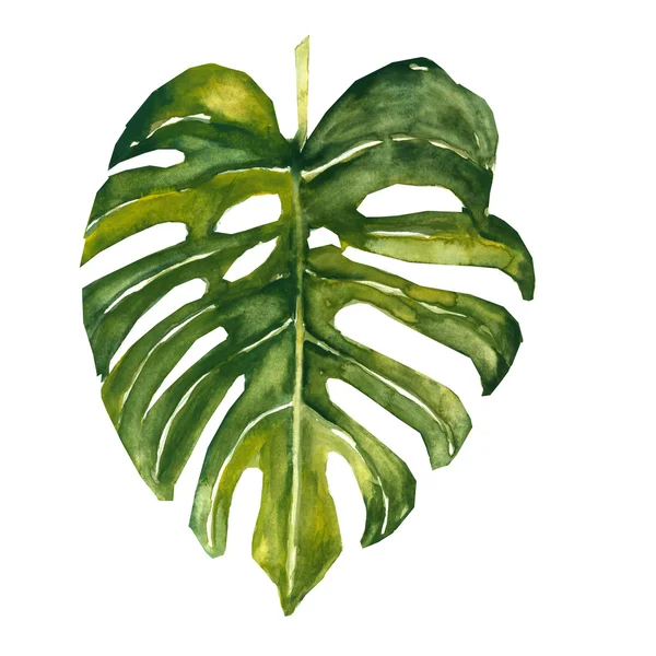 Leaves watercolor hand painting — Stock Photo, Image