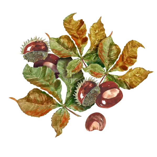 Chestnut fruits and leaves seamless pattern — Stock Photo, Image