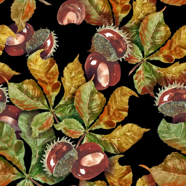 Kasztan owoce i liście wzór — Zdjęcie stockowe