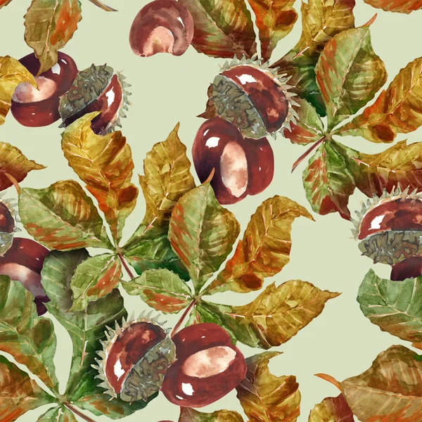 Kasztan owoce i liście wzór — Zdjęcie stockowe