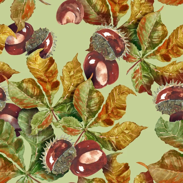 चेस्टनट फळे आणि पाने अखंड नमुना — स्टॉक फोटो, इमेज