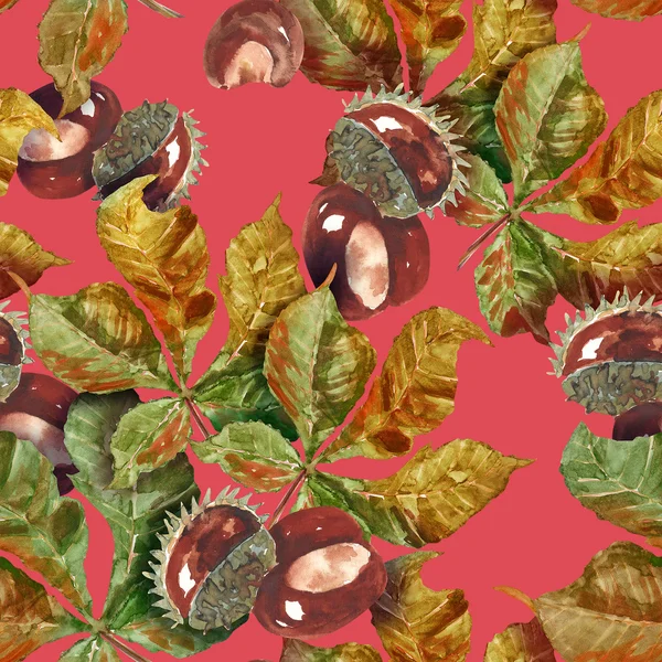 Chestnut fruits and leaves seamless pattern — Stock Photo, Image