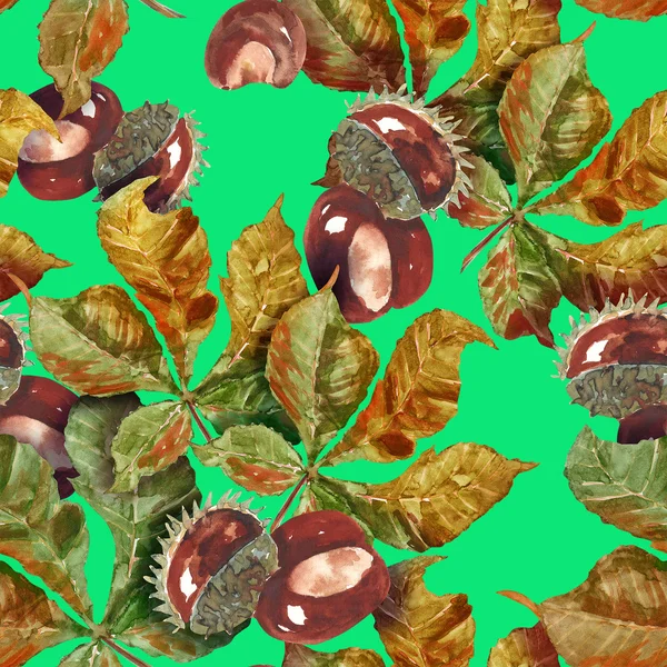 Kastanje vruchten en bladeren naadloze patroon — Stockfoto