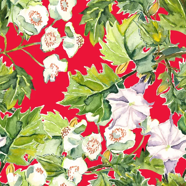 White flowers seamles pattern — Stock Photo, Image