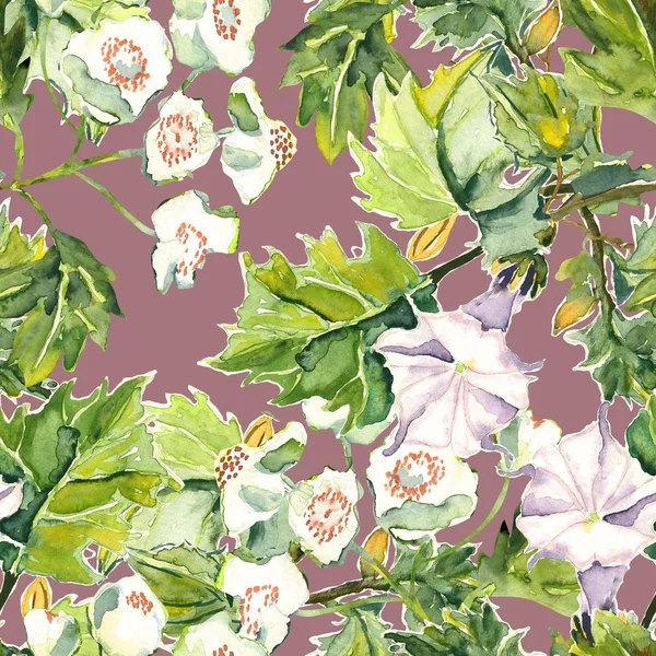 White flowers seamles pattern — Stock Photo, Image
