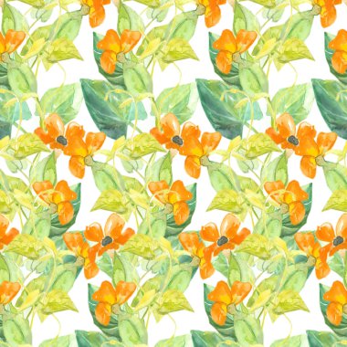 İri Susan seamless modeli