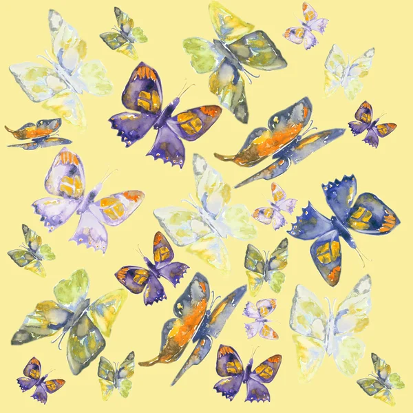 Beutiful farfalla — Foto Stock