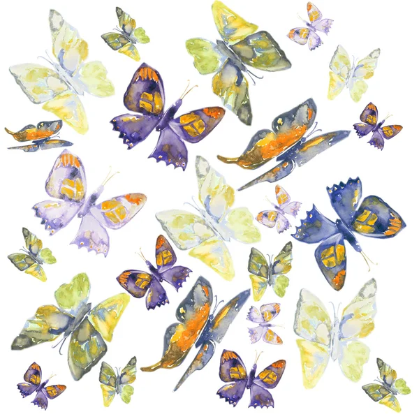 Beutiful farfalla — Foto Stock