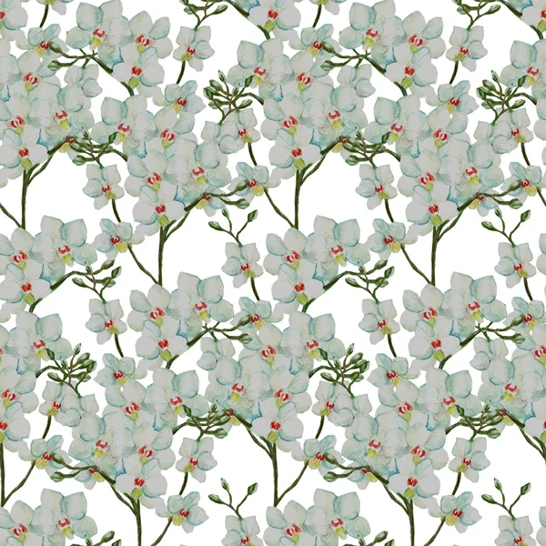 Orchid panicle seamless pattern — Stock Photo, Image