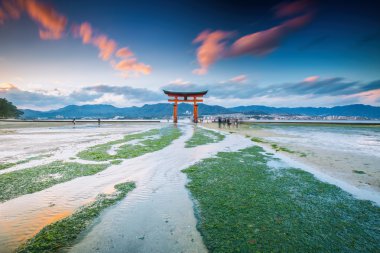 Miyajima, ünlü yüzen yakın kapı, Japonya.