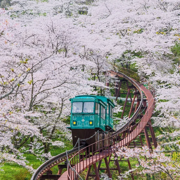 Yamaç araba Funaoka Castle harabe Park, Sendai, Japonya