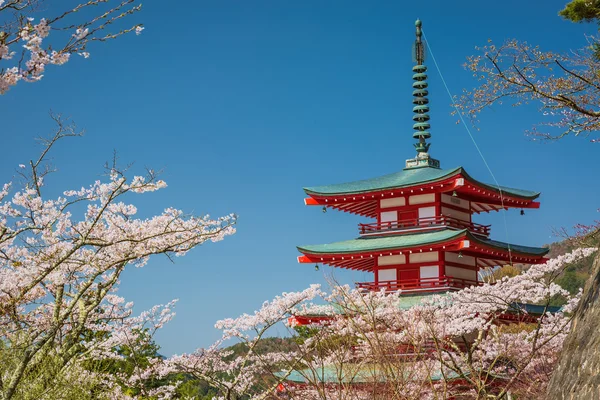 Chureito-Pagode im Frühling, fujiyoshida, Japan — Stockfoto