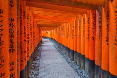  Fushimi Inari tapınak üzerinde Kyoto, Japonya.