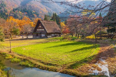 Dünya mirası, Shirakawago, Japonya