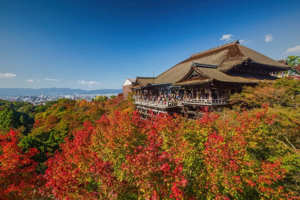 Kiyomizu-dera Temple — Stock fotografie