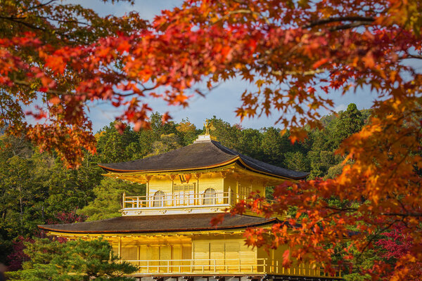 Золотой павильон храма Кинкакудзи в Японии

