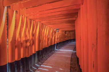 Fushimi Inari tapınak kapısında kırmızı Tori