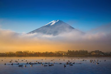 Sabah sis sonbahar s ile dağ Fuji ve Kawaguchiko Gölü