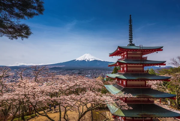 Pagode de Chureito com sakura & Vista bonita de Mt.fuji — Fotografia de Stock