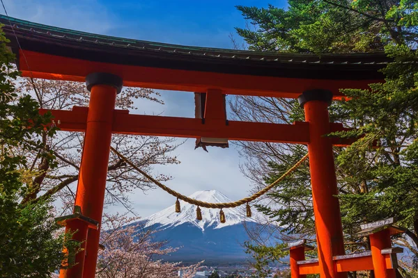 Hora Fudži v jaře, třešeň kvetoucí sakura — Stock fotografie