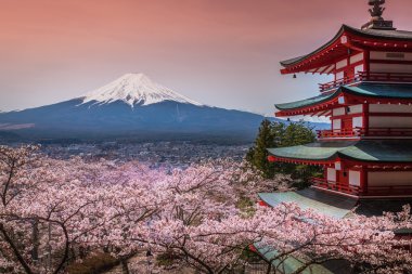 Chureito Pagoda sakura ve güzel Mt.fuji görünümü ile