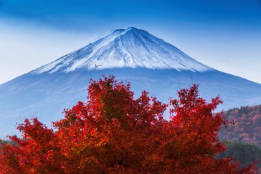 Kırmızı akçaağaç ağaç sonbaharın güzel Mt Fuji