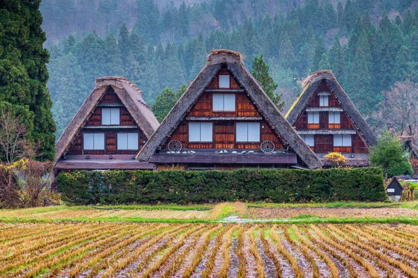 Geleneksel ve tarihsel Japon köyde Shirakawago Tortum