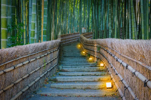 Caminho para a floresta de bambu, Arashiyama, Kyoto, Japão — Fotografia de Stock