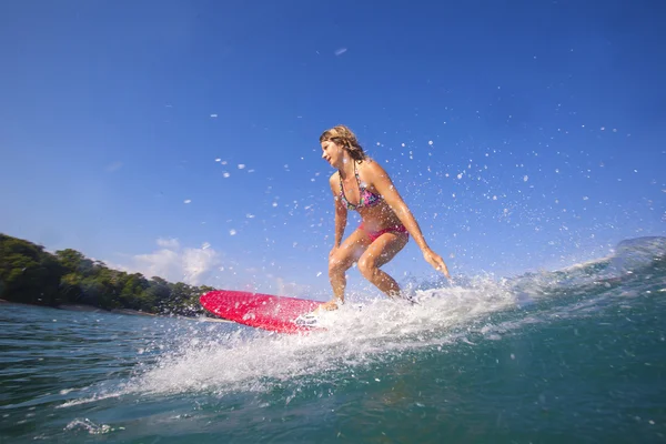 Surfer ragazza su Amazing Blue Wave — Foto Stock