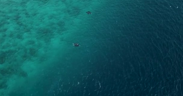 ターコイズブルーの海でのケチの空中ビュー — ストック動画