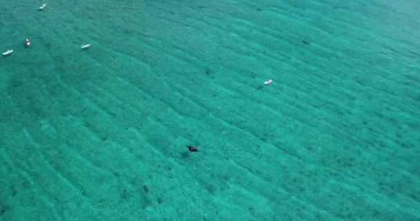 Вид с воздуха на ската и серфера в бирюзовых водах — стоковое видео