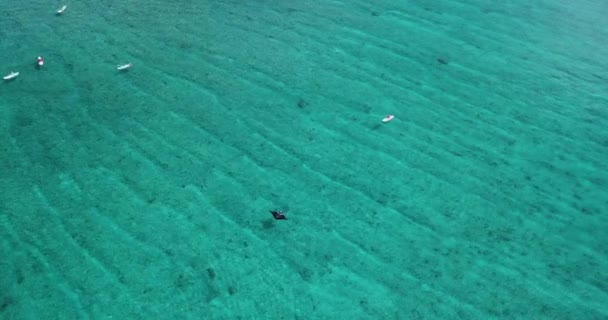 Аерофотозйомка сліз і серфінгу в бірюзових водах — стокове відео