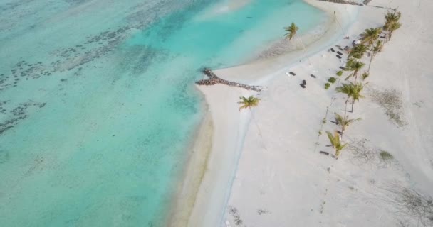 Palmen am Strand, Malediven aus der Luft — Stockvideo