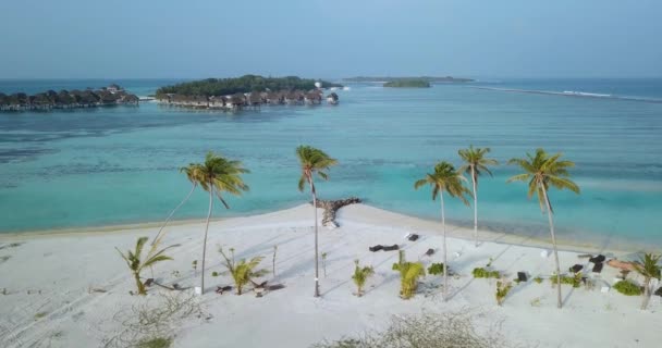 Vista aérea de palmeras en la playa, Maldivas — Vídeos de Stock