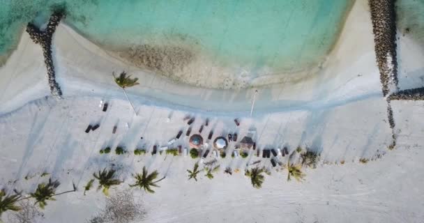 Palmen am Strand, Malediven aus der Luft — Stockvideo