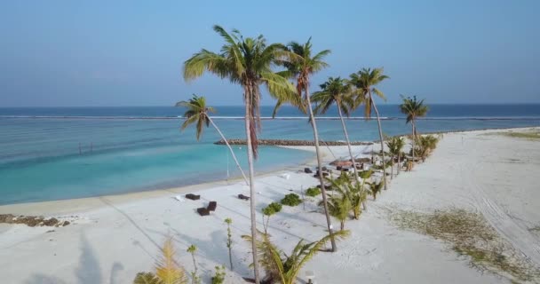 Widok z lotu ptaka na plażę, Malediwy — Wideo stockowe