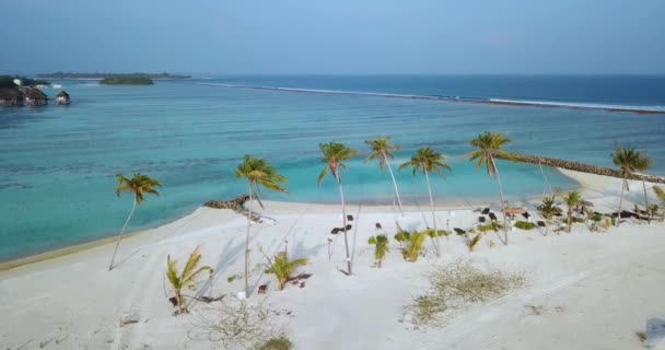 Vista aérea das palmeiras na praia, Maldivas — Vídeo de Stock
