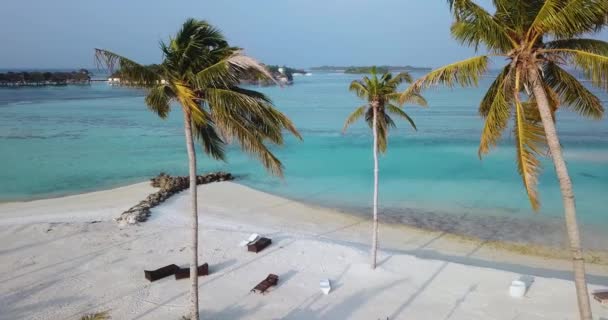 Widok z lotu ptaka na plażę, Malediwy — Wideo stockowe