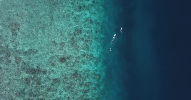 Surfistas em ondas do mar, vista aérea, Himmafushi ilha, Maldivas — Vídeo de Stock
