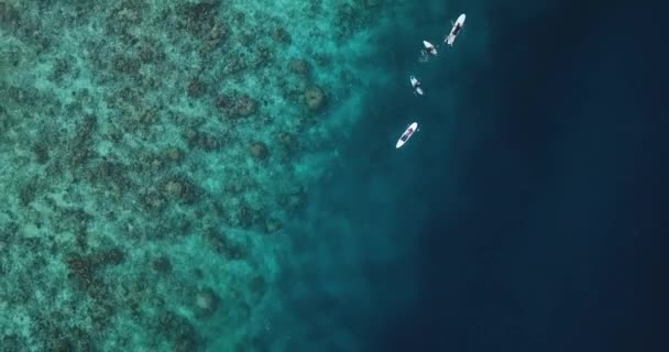 Surfistas em ondas do mar, vista aérea, Himmafushi ilha, Maldivas — Vídeo de Stock